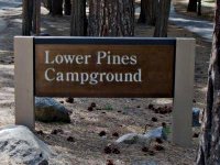 Lower Pines
