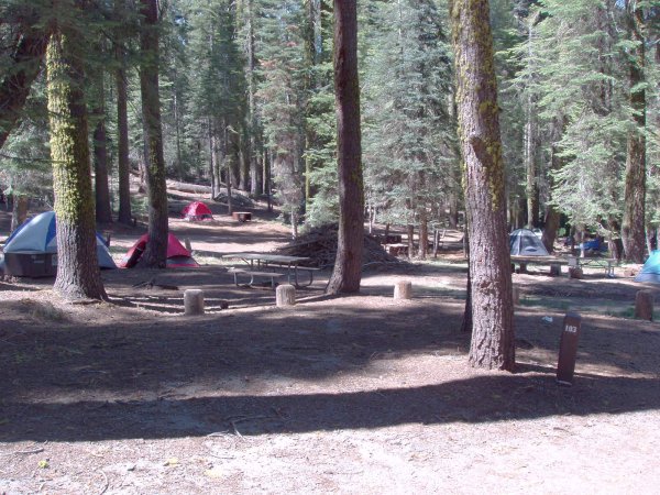 Crane Flat Campsite 103