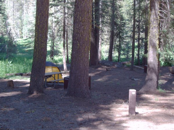 Crane Flat Campsite 114