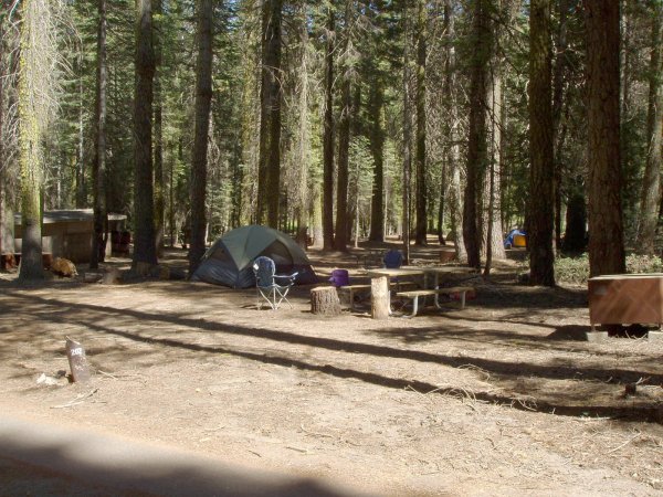 Crane Flat Campsite 202