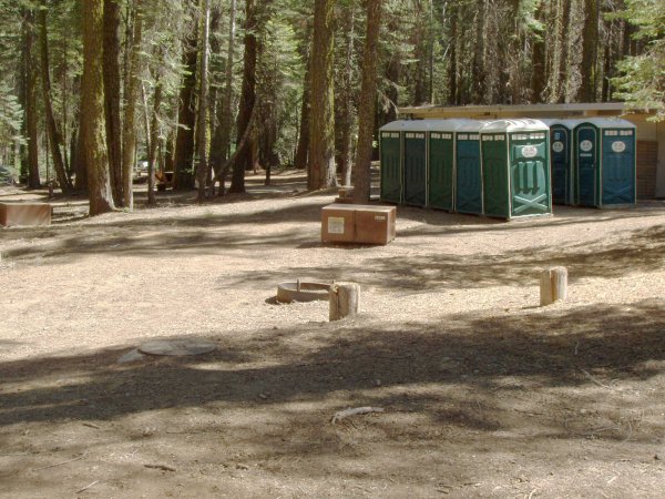 Crane Flat Campground -- Yosemite National Park Site 206