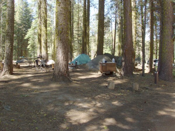 Crane Flat Campsite 209