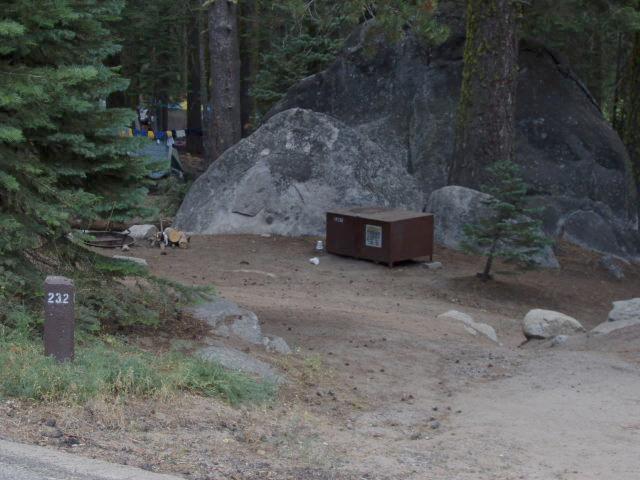 Crane Flat Campsite 232