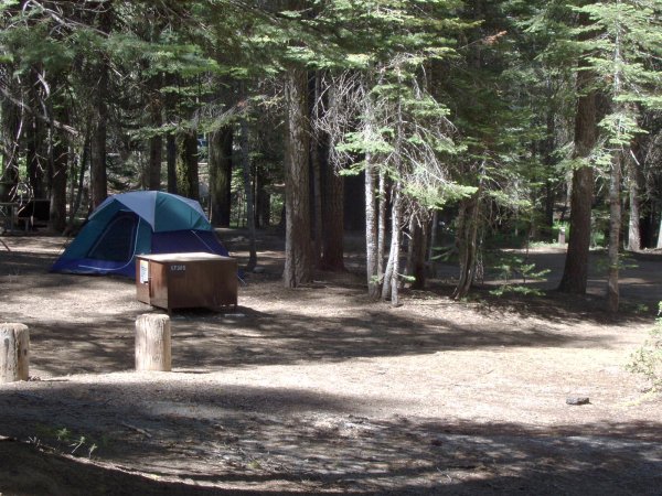 Crane Flat Campsite 305