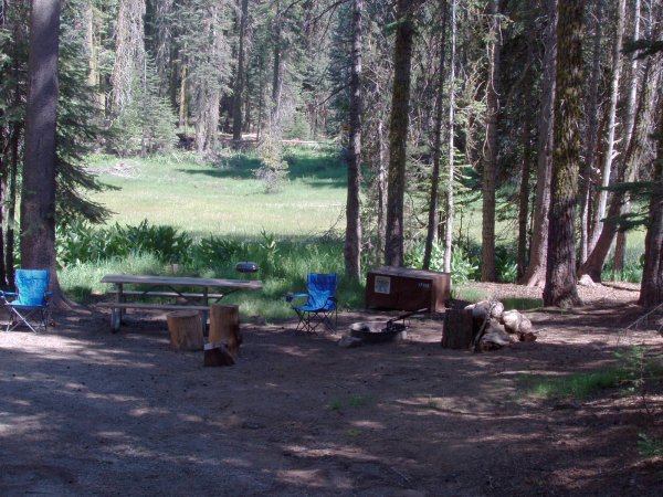 Crane Flat Campsite 308