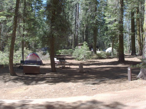 Crane Flat Campsite 419