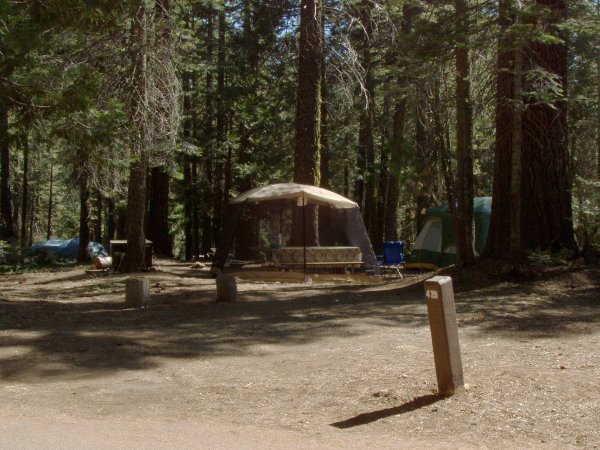 Crane Flat Campsite 429