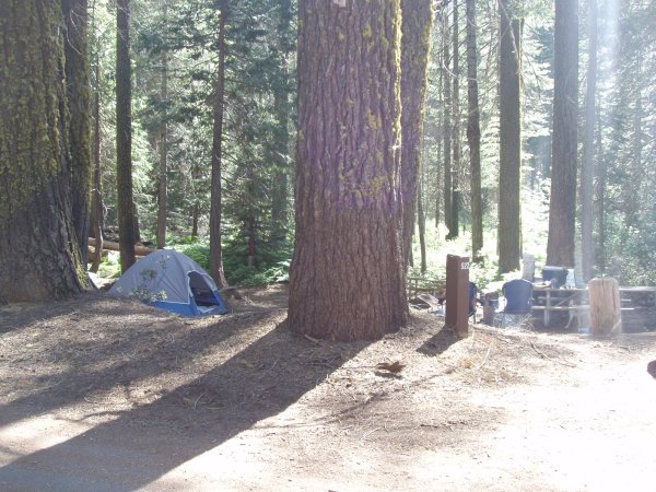 Crane Flat Campsite 522