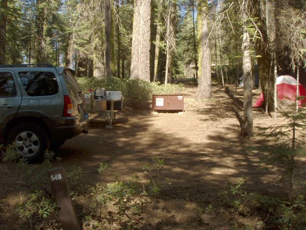 Crane Flat Campsite 548