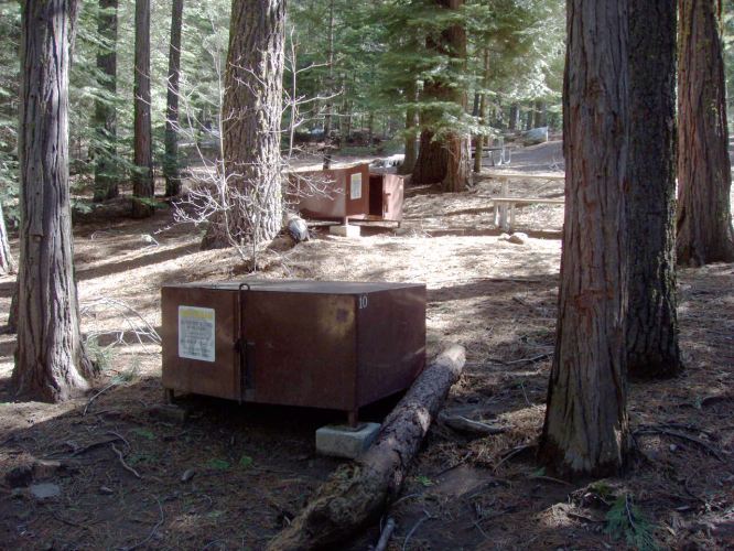 Hudgdon Meadows Campsite 10