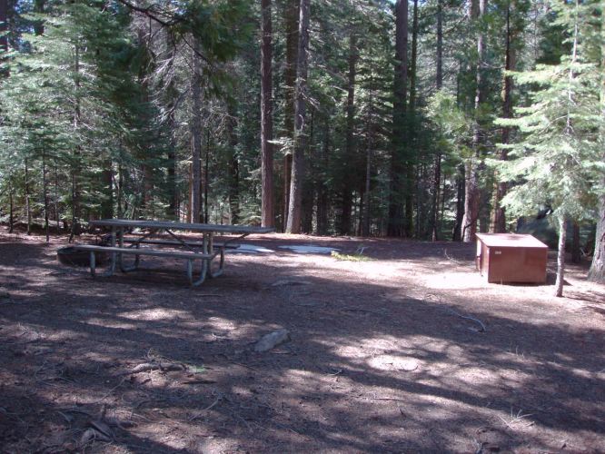 Hudgdon Meadows Campsite 100