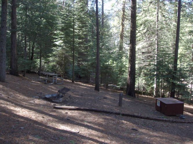 Hudgdon Meadows Campsite 19