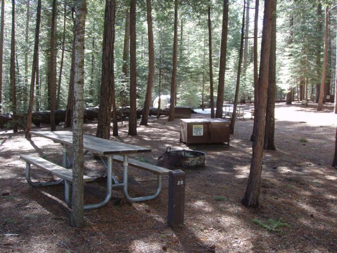 Hudgdon Meadows Campsite 28