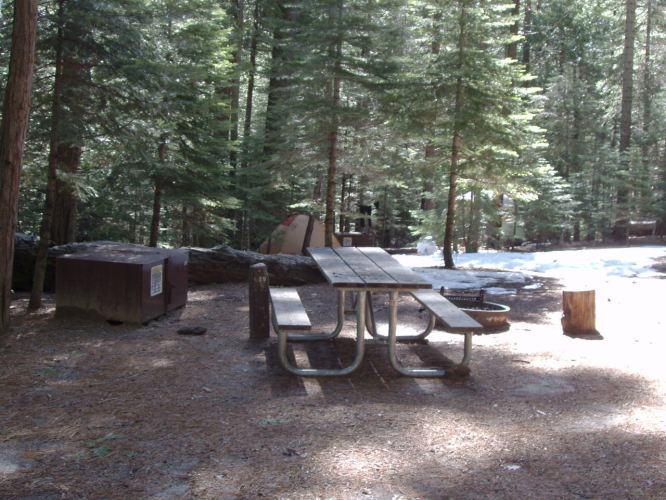 Hudgdon Meadows Campsite 29