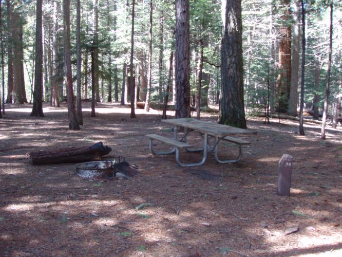 Hudgdon Meadows Campsite 30