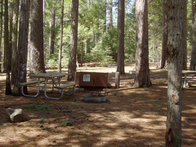 Hudgdon Meadows Campsite 47