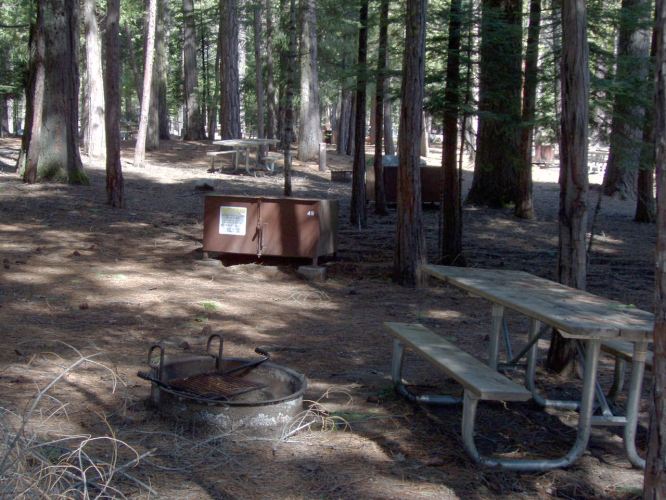 Hudgdon Meadows Campsite 49