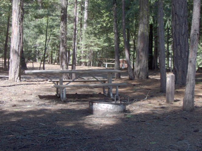 Hudgdon Meadows Campsite 51