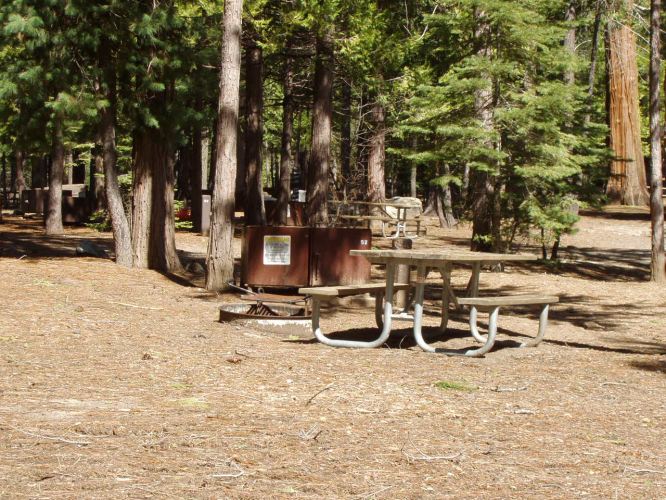 Hudgdon Meadows Campsite 52