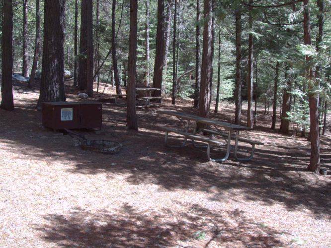 Hudgdon Meadows Campsite 61