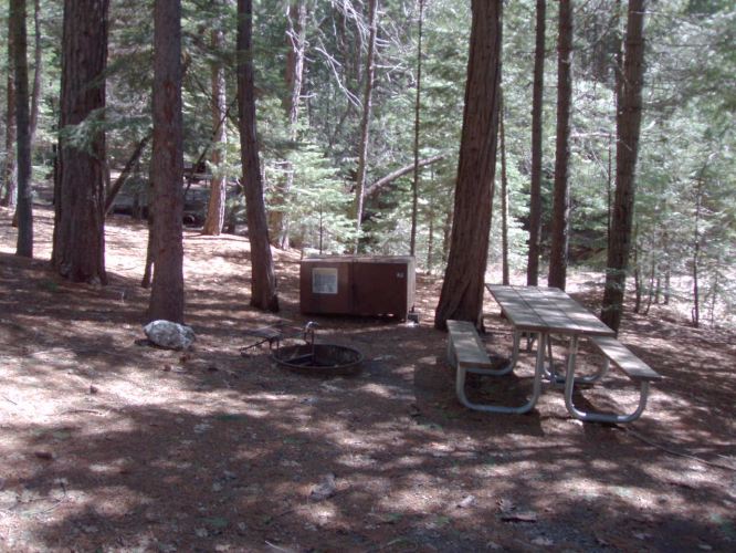 Hudgdon Meadows Campsite 62