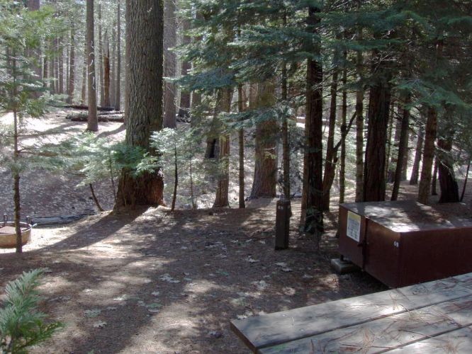 Hudgdon Meadows Campsite 69