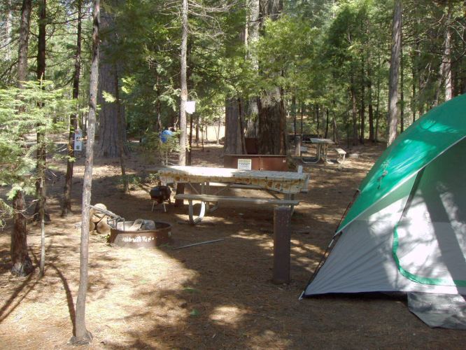 Hudgdon Meadows Campsite 81