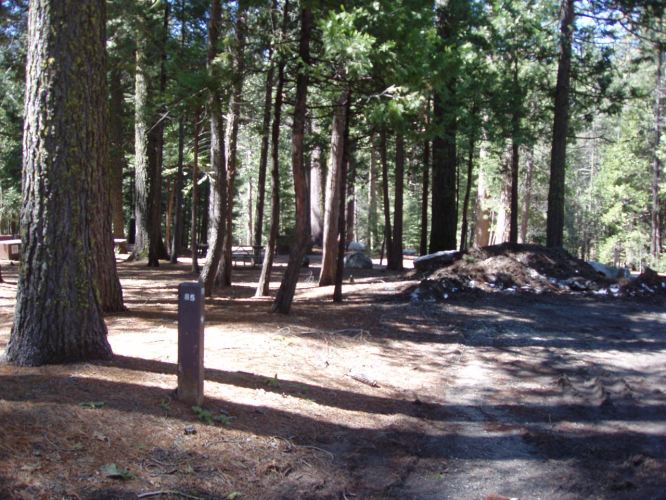 Hudgdon Meadows Campsite 85