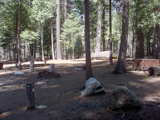 Hudgdon Meadows Campsite 89