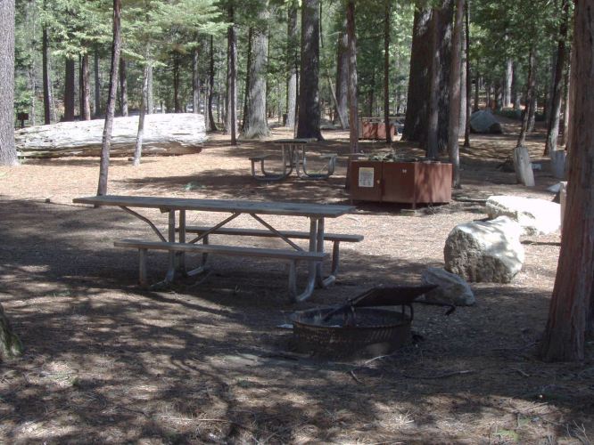 Hudgdon Meadows Campsite 90