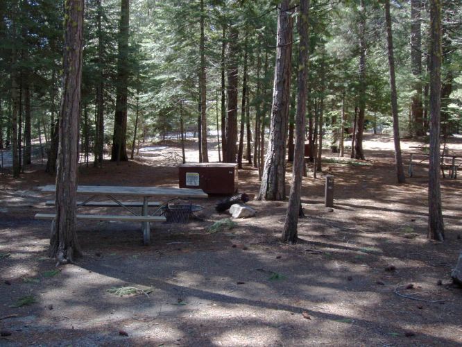 Hudgdon Meadows Campsite 94