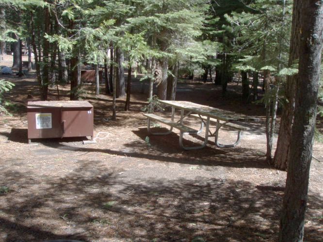 Hudgdon Meadows Campsite 95