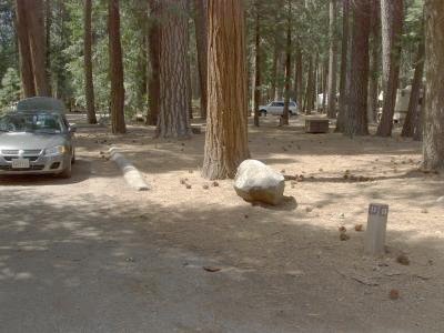 Lower Pines Site 13