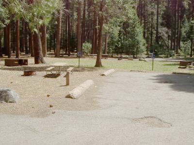 Lower Pines Site 14