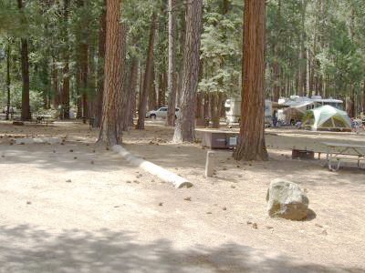 Lower Pines Site 15