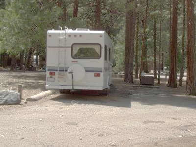 Lower Pines Site 19