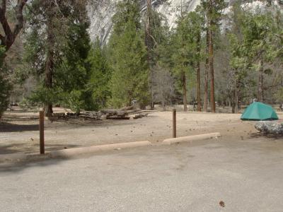 Lower Pines Site 200