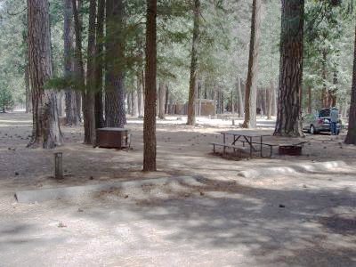 Lower Pines Site 22