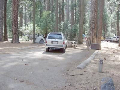 Lower Pines Site 24