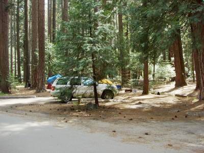Lower Pines Site 28