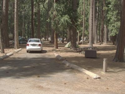 Lower Pines Campground -- Yosemite Valley Site 33