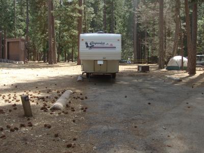 Lower Pines Site 36