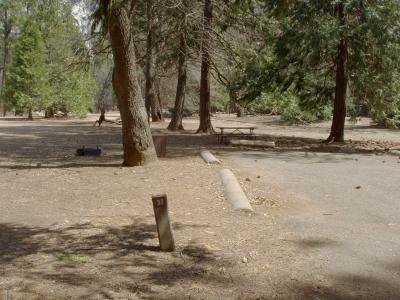 Lower Pines Site 37