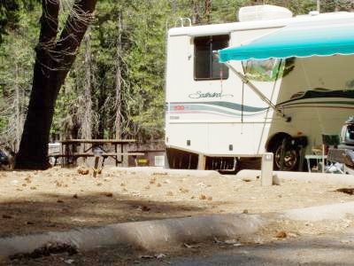 Lower Pines Site 41