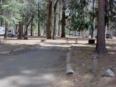 Lower Pines Site 46