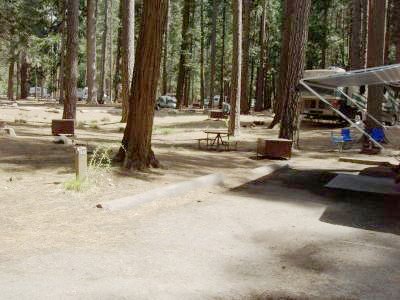 Lower Pines Site 55