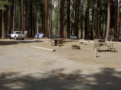 Lower Pines Site 56