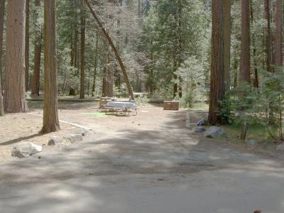 Lower Pines Site 6
