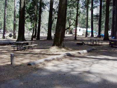 Lower Pines Site 60