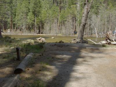 Lower Pines Site 61
